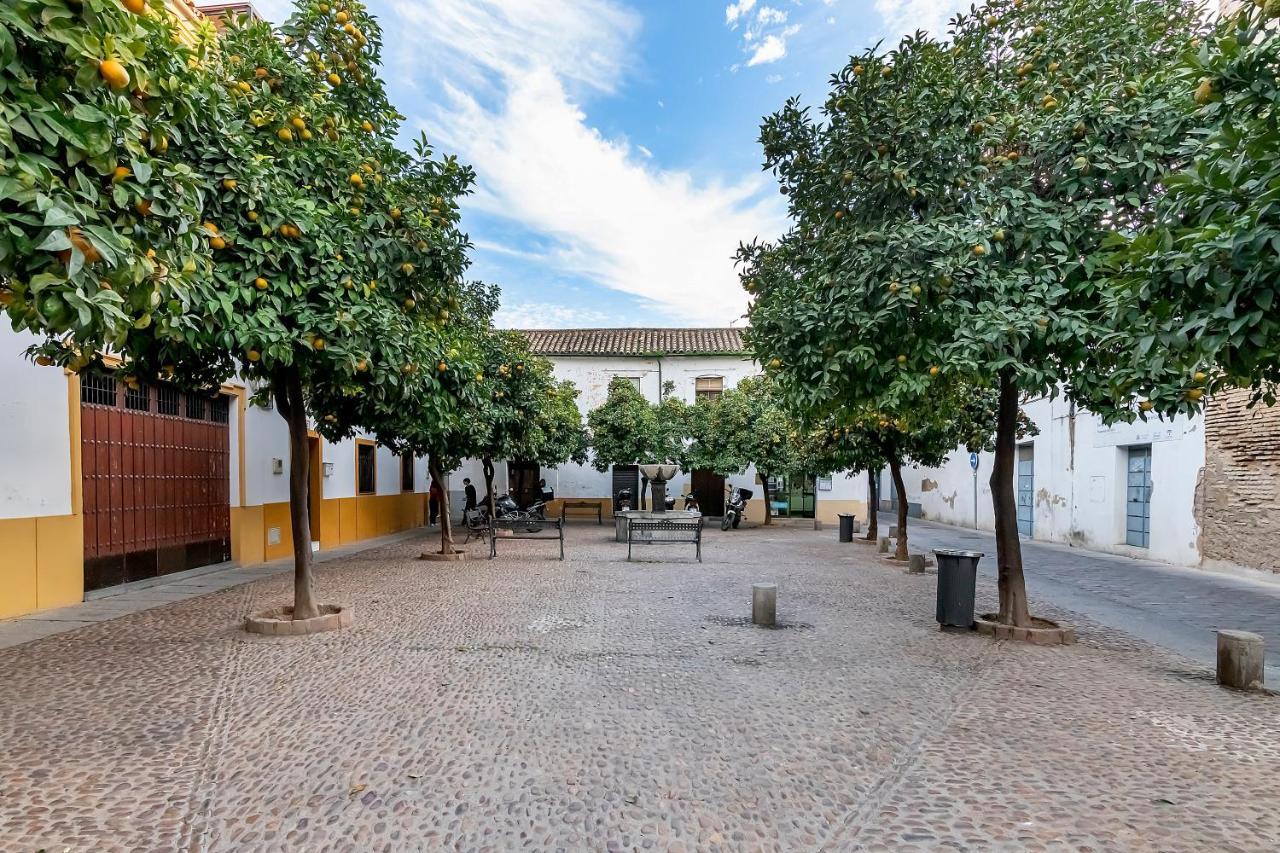 Apartamento Bhost - Regina Ll Córdoba Exterior foto